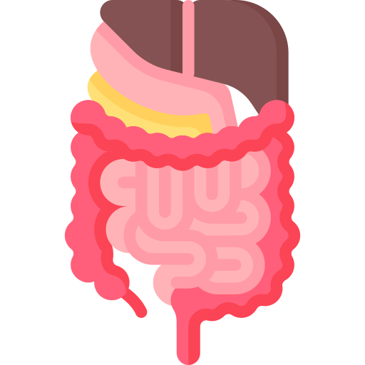 Gastroenterology Icon